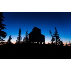 Mysz bezprzewodowa SilentMove 2.4G — cicha