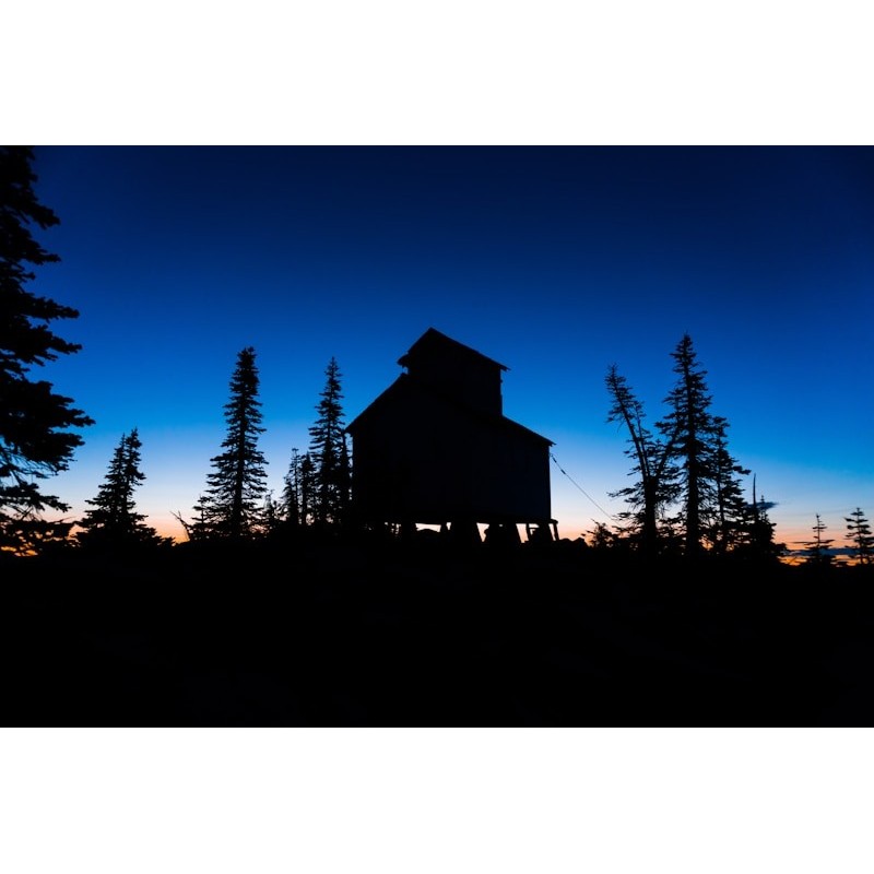 Mysz bezprzewodowa SilentMove 2.4G — cicha